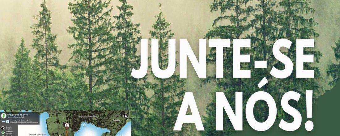 Caminhada pela Floresta