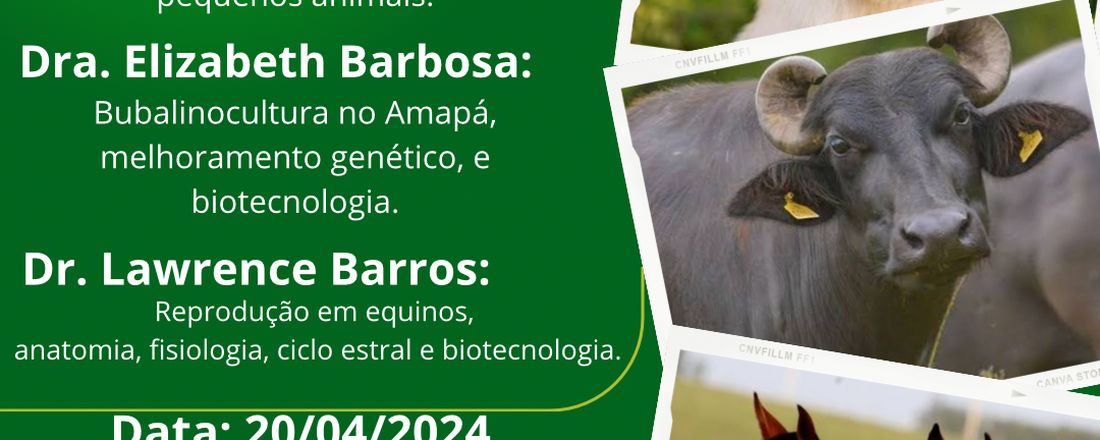 III Ciclo de Palestras de Medicina Veterinária