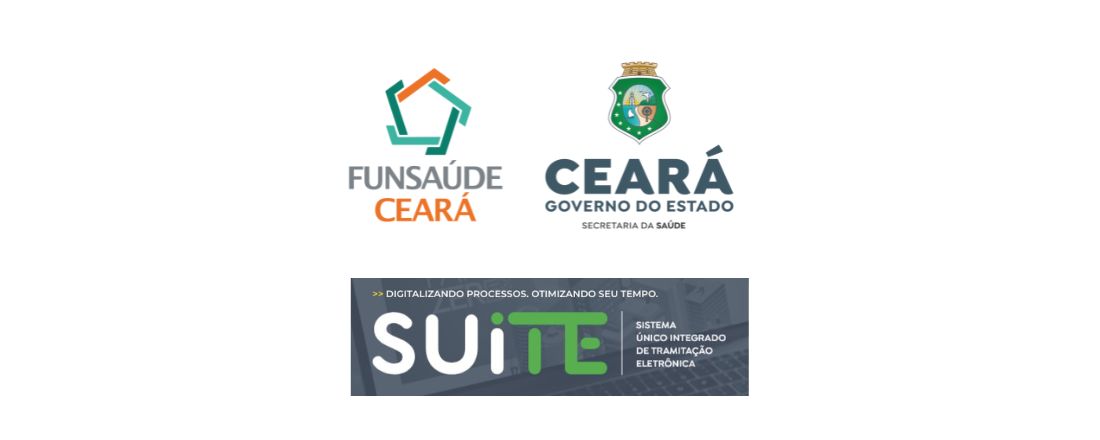 Treinamento SUiTE Funsaúde