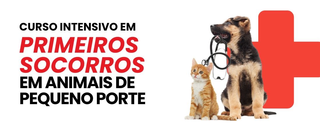 PRIMEIROS SOCORROS EM ANIMAIS DE PEQUENO PORTE