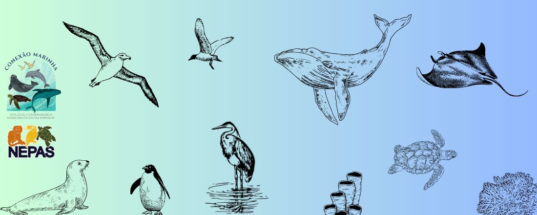 Conexão Marinha - Biologia, Conservação e Medicina da Fauna Marinha
