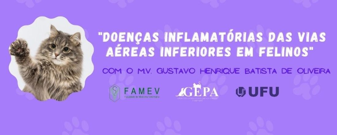 Doenças inflamatórias das vias aéreas inferiores dos felinos