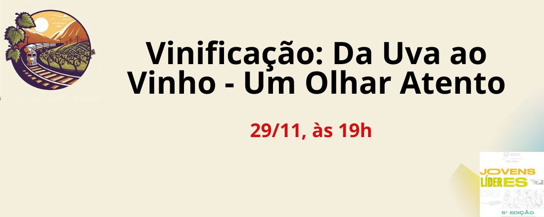 Vinificação: Da Uva ao Vinho - Um Olhar Atento