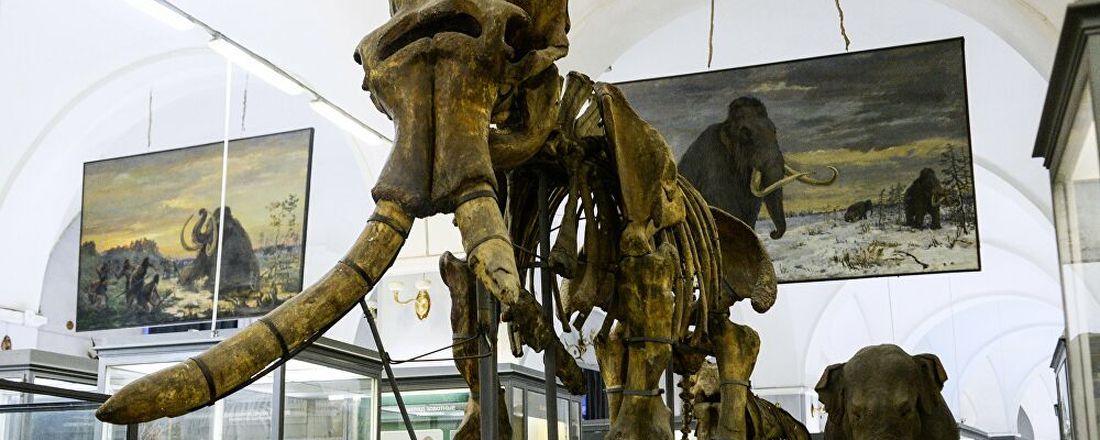 O ensino da Paleontologia durante o ensino remoto.