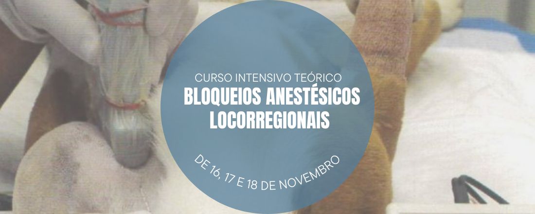 Curso Intensivo - Bloqueios Anestésicos Locorregionais