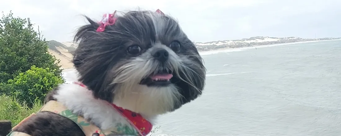 Teste Evento Jessyca 2026