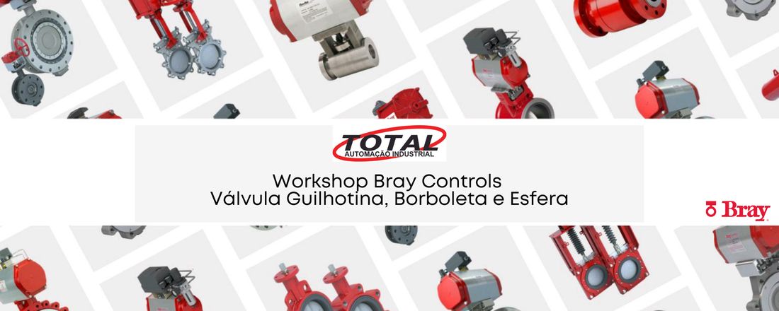 Workshop Bray Controls - Válvulas Guilhotina, Borboleta e Esfera.