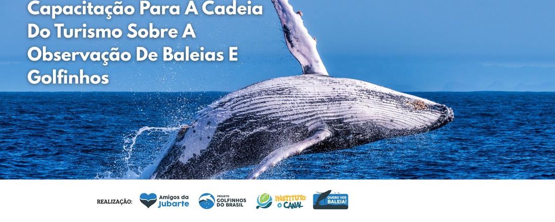 Capacitação Para A Cadeia Do Turismo Sobre A Observação De Baleias E Golfinhos Em Vitória - 2025
