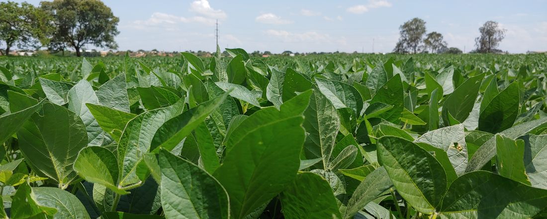 VI Simpósio Integrado da Agronomia, II Jornada Científica da Agronomia