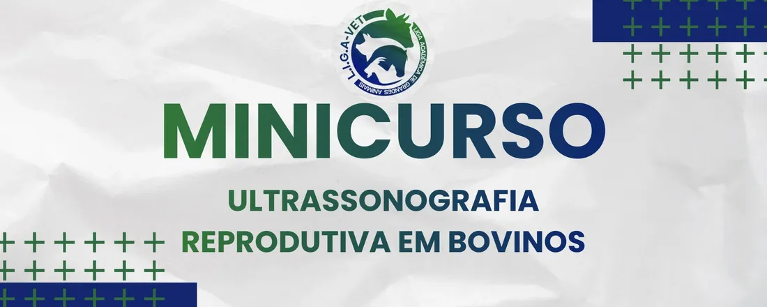 Ultrassonografia reprodutiva em bovinos: do estágio à prática profissional