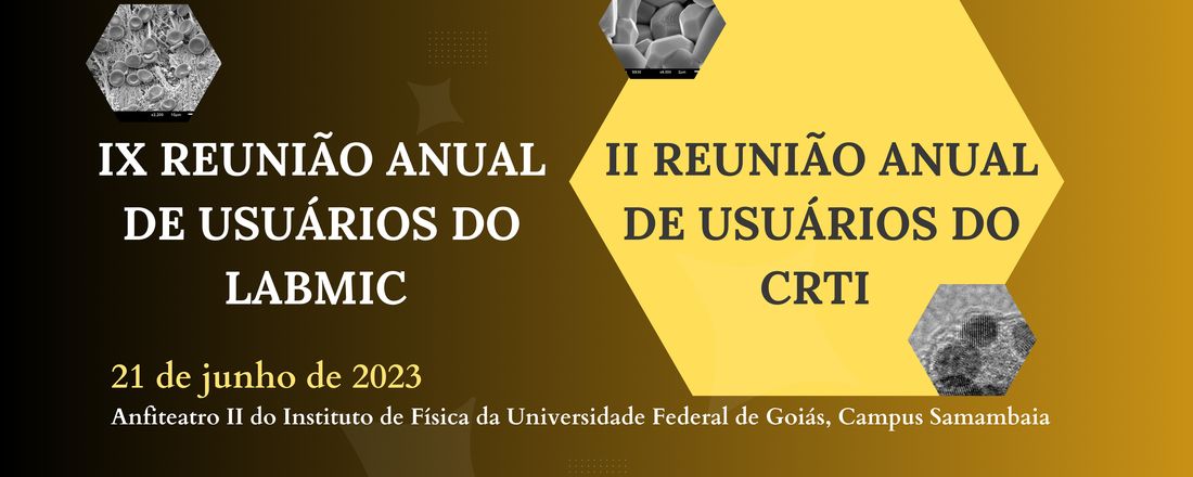 IX Reunião Anual de Usuários do LabMic e II Reunião Anual de Usuários do CRTI