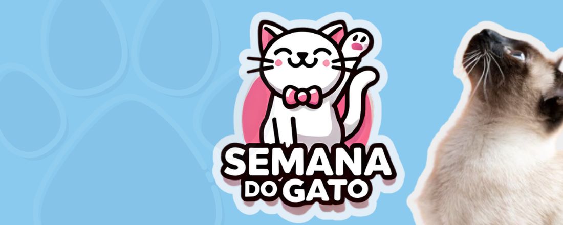 Semana do gato: Especialidades e Atualizações na Medicina Felina