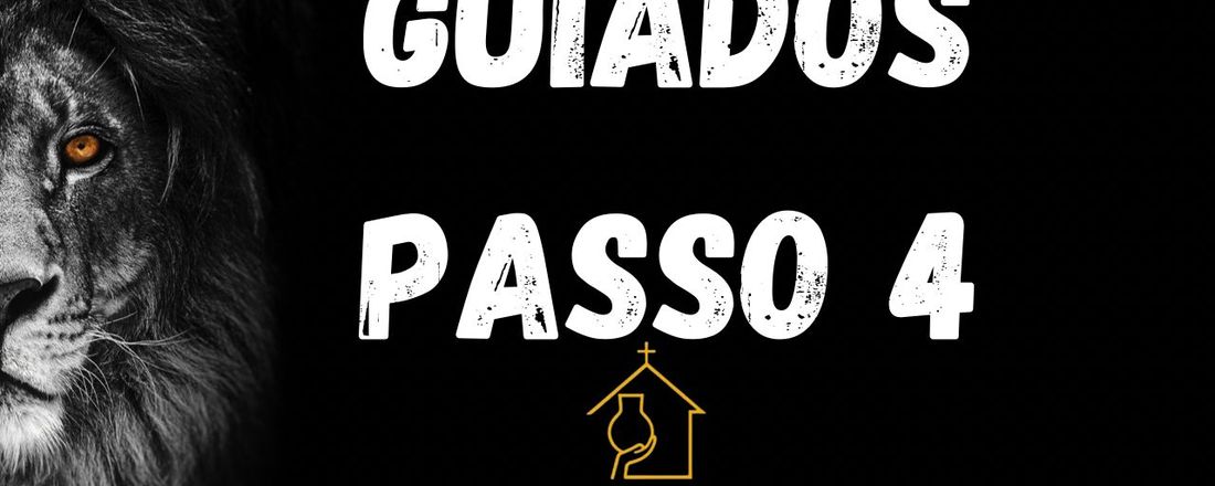 Guiados Passo 04