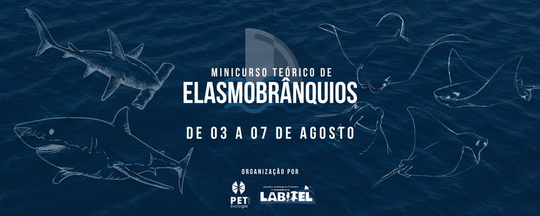 Minicurso Teórico de Elasmobrânquios