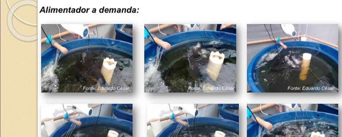 Comportamento alimentar de peixes