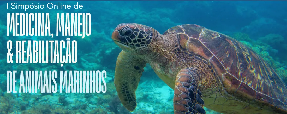 I Simpósio Online de Medicina, Manejo e Reabilitação de Animais Marinhos