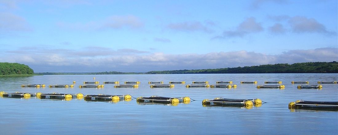 Criação de Peixes em Tanques-rede