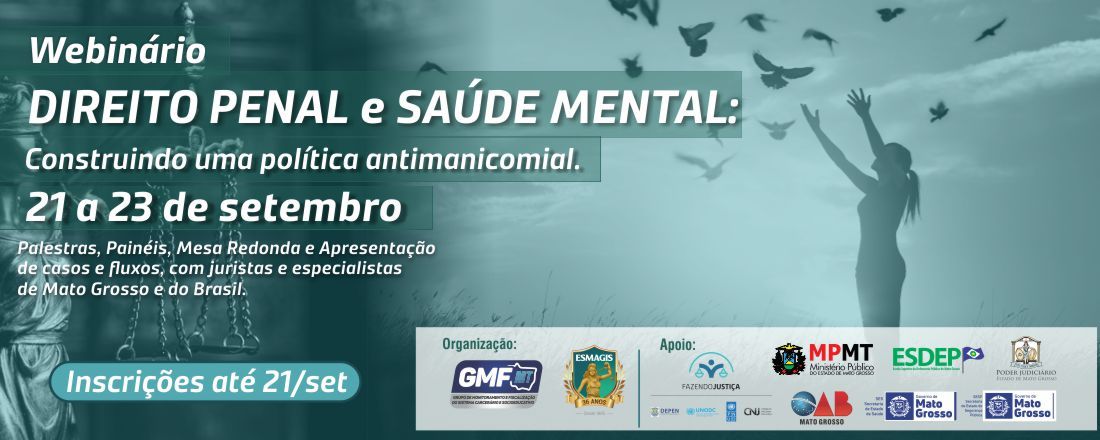 Webinário: “Direito Penal e Saúde Mental:  construindo uma política antimanicomial”