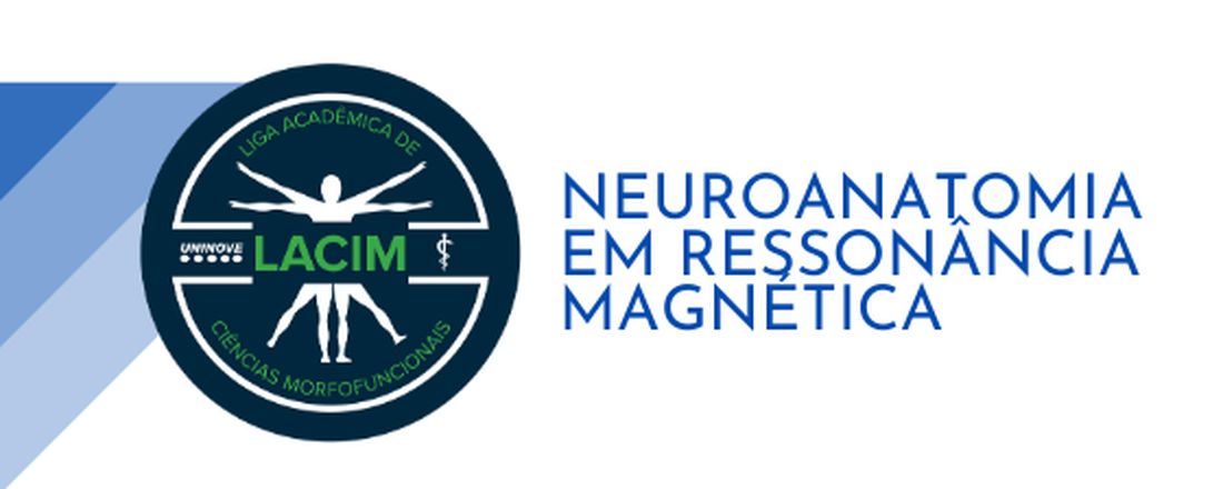 Neuroanatomia em ressonância magnética