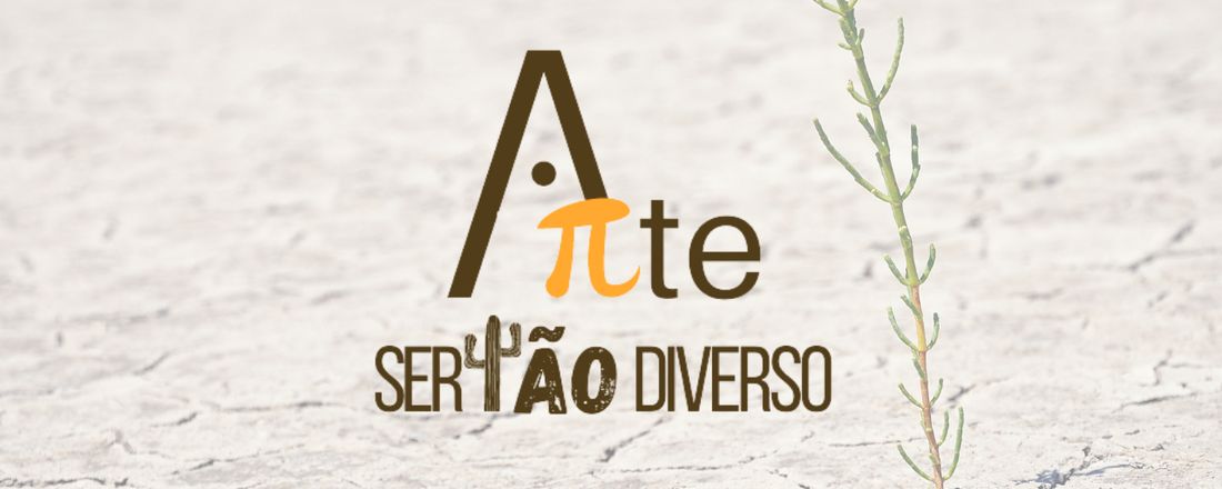 FESTIVAL DE ARTE PI - SerTÃO DiVERSO