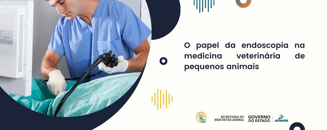 O papel da endoscopia na medicina veterinária de pequenos animais