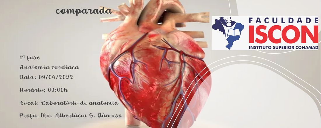 Curso de extensão em anatomia