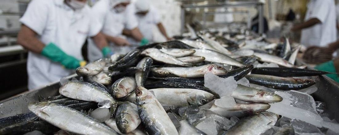 Palestra: "Fraudes em Pescado" - GEINSPOA UniFSP