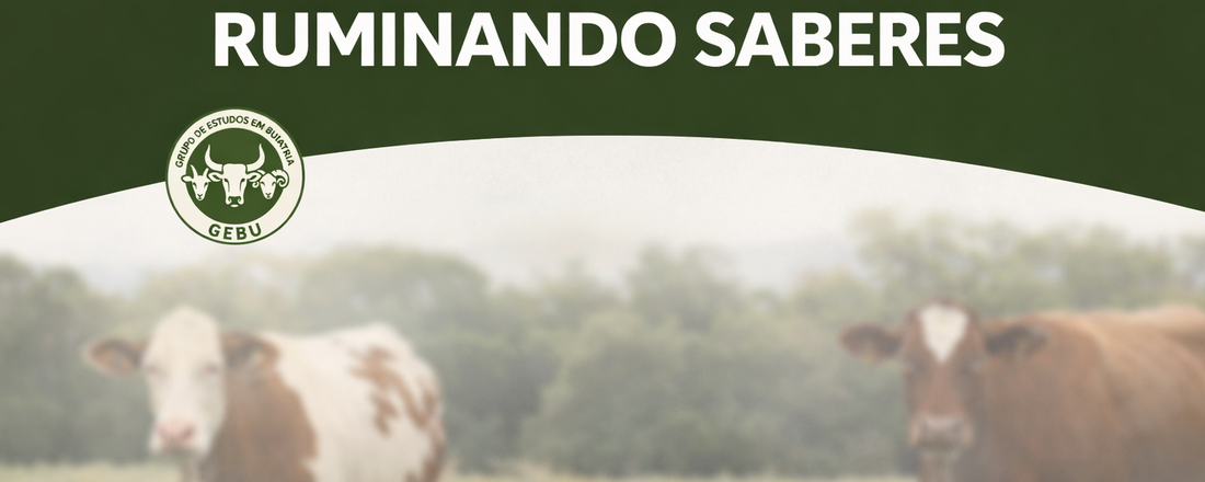 Ruminando saberes