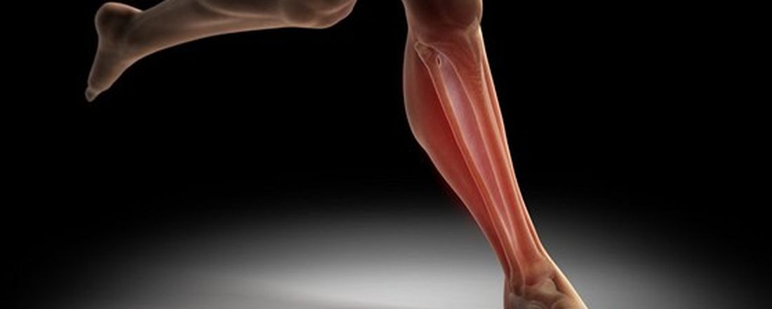 Cirurgia de contenção de danos na ortopedia: Uso de fixadores externos