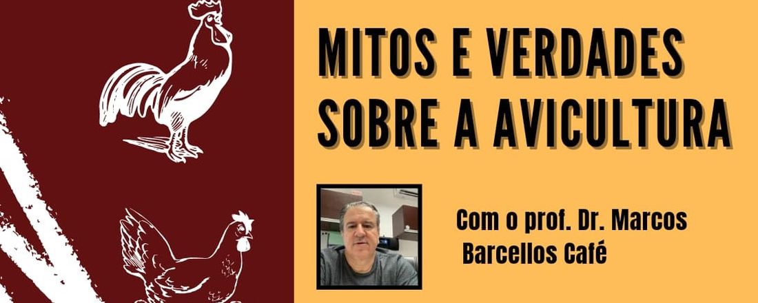 Mitos e verdades sobre a Avicultura