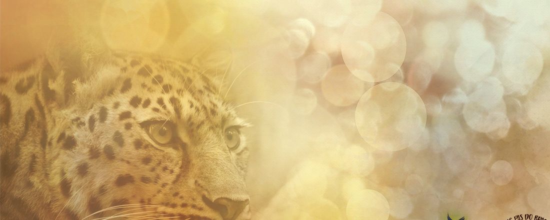 Videoscopia como ferramenta de verificação da saúde dos animais silvestres