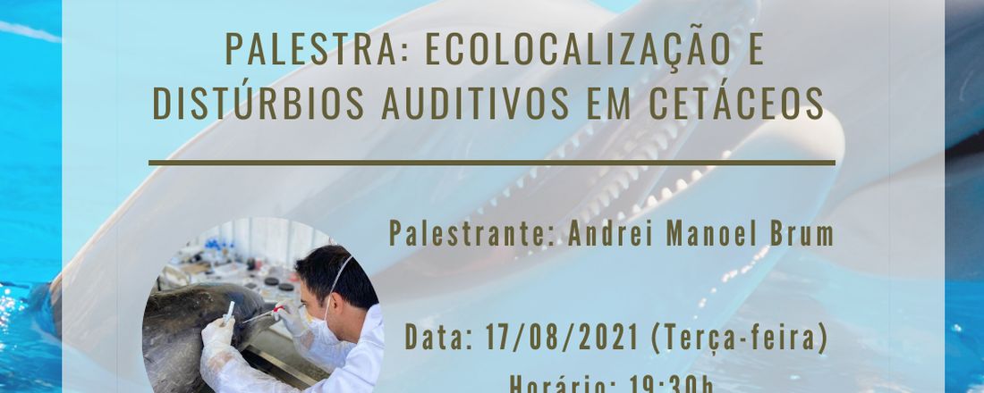 Palestra - Ecolocalização e Disturbios Auditivos em Cetáceos