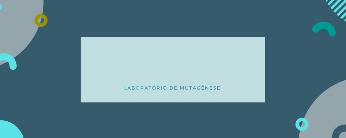 Bate-papo Científico