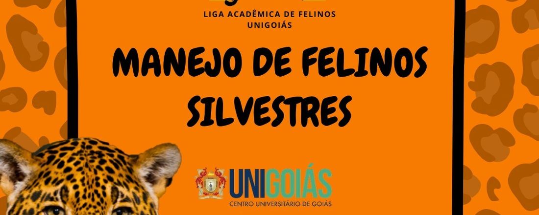 Palestra Manejo de Felinos Silvestres Resgatados