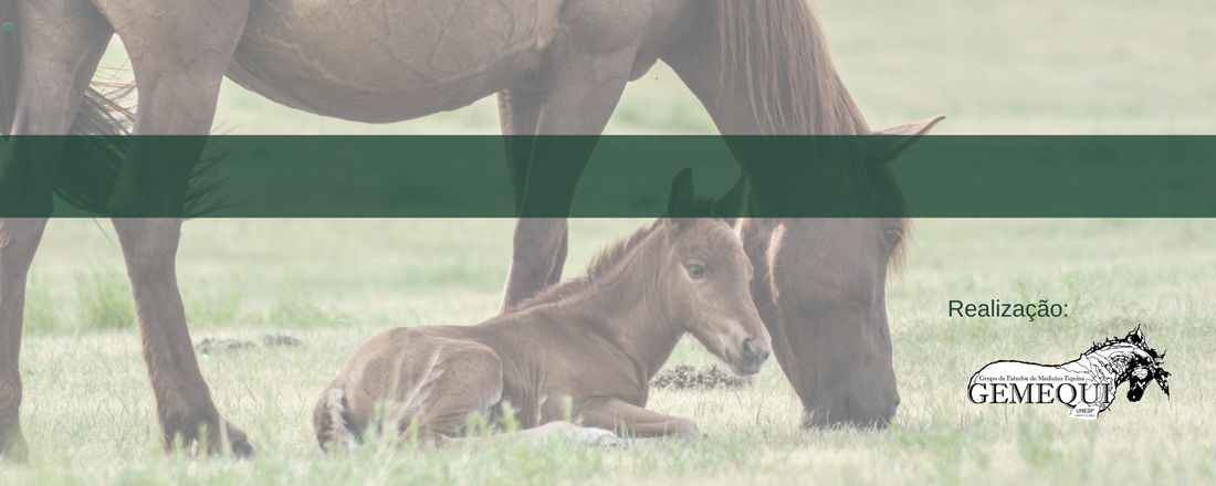 Mini Ciclo de Reprodução Equina