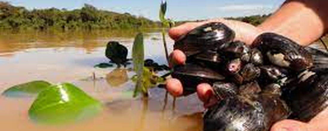 Dia dos Bivalves de Água Doce da América do Sul - Ecologia e Conservação