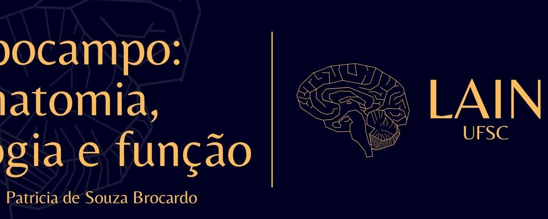 Hipocampo: anatomia, histologia e função