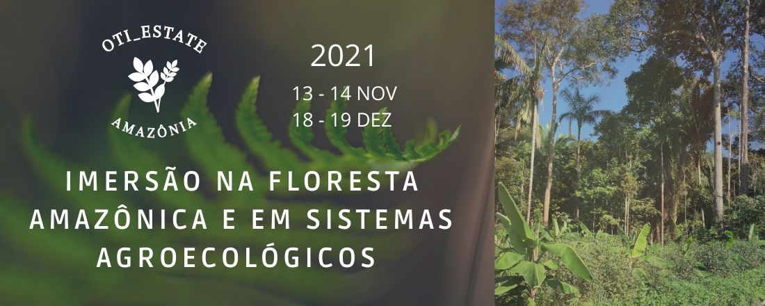 Imersão na floresta Amazônica e em sistemas agroecológicos