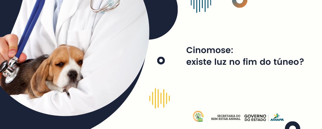 Cinomose: existe luz no fim do túneo?