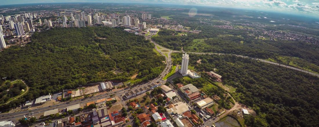 Verde Novo - Clima, Arborização & Sustentabilidade