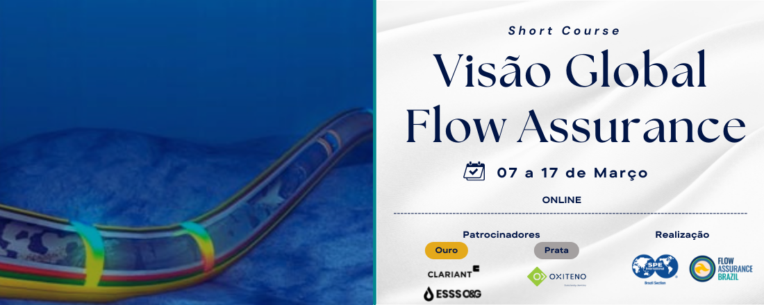 Short Course: Visão Global de Flow Assurance