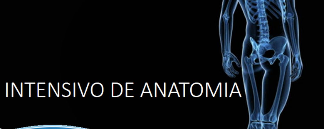 II INTENSIVO DE ANATOMIA