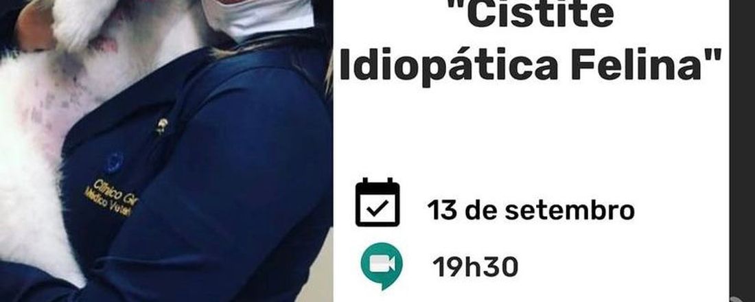 Cistite idiopática felina