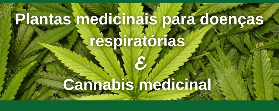 Plantas Medicinais para Doenças Respiratórias e Cannabis medicinal na pesquisa