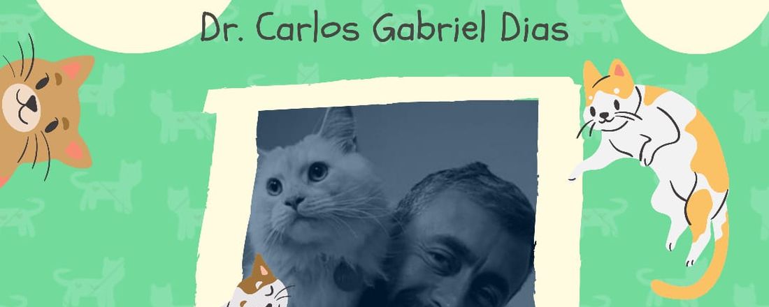 Gatos são estóicos: Pensamento Filosófico e Clínica Médica -  Dr. Carlos Gabriel Dias