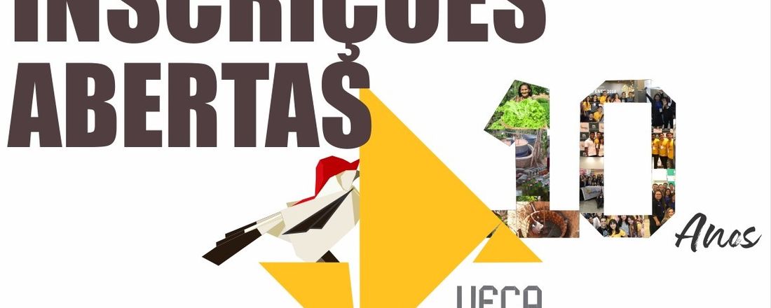 Dez anos do Time Enactus UFCA