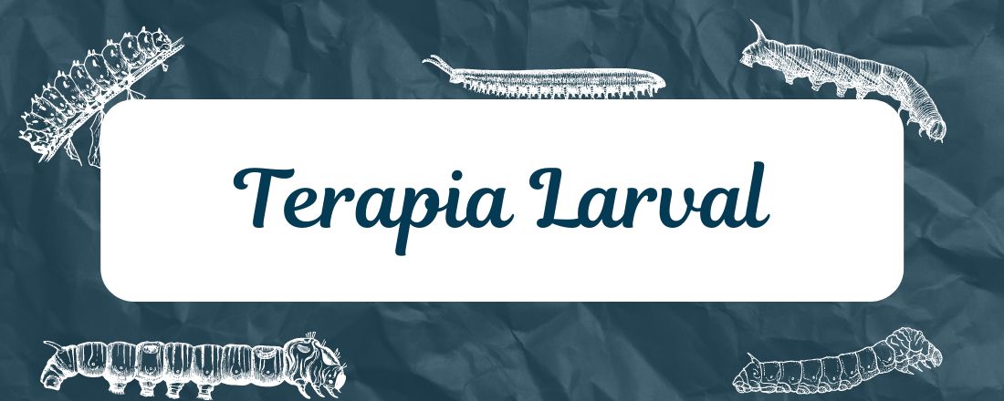 Terapia Larval - Aplicação de larvas estéreis produzidas em laboratório para tratamento de feridas crônicas