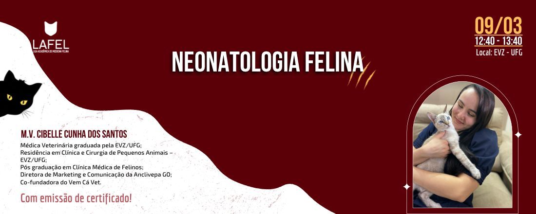 Neonatologia Felina