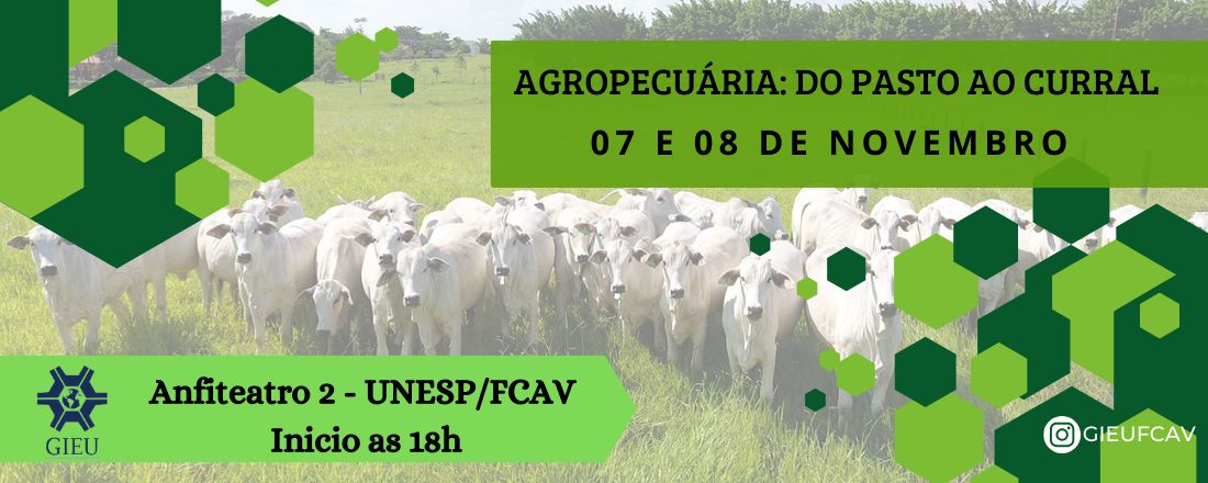 Agropecuária: do pasto ao curral