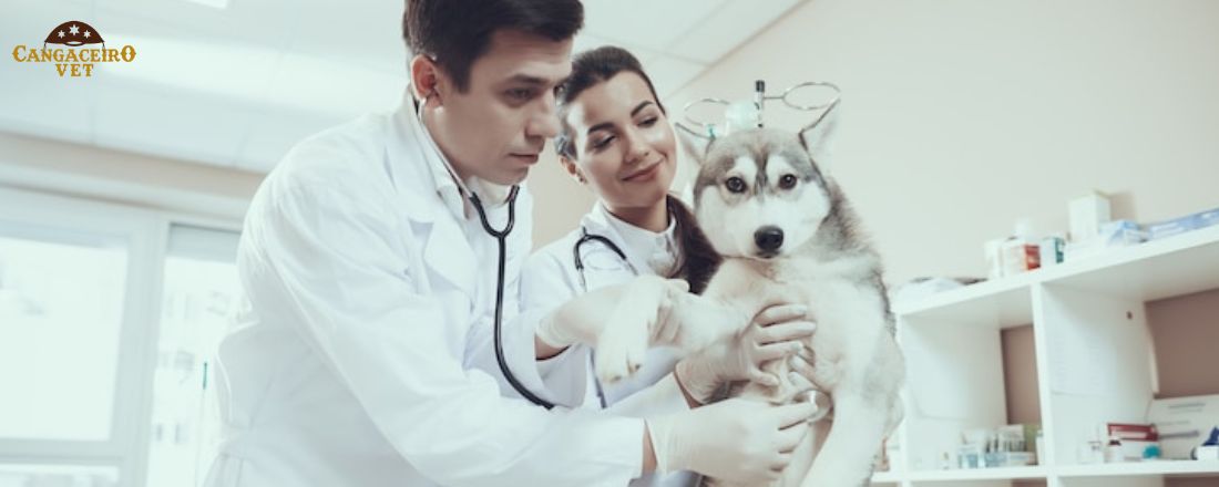 CURSO INTENSIVO EM DERMATOLOGIA VETERINÁRIA